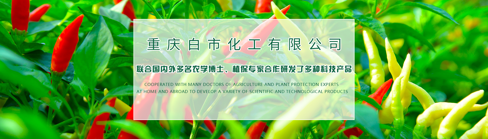 重慶市永川區金達農葉面肥廠(chǎng)